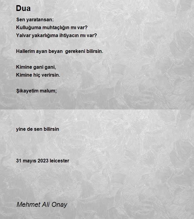 Mehmet Ali Onay