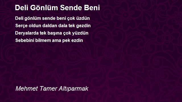 Mehmet Tamer Altıparmak