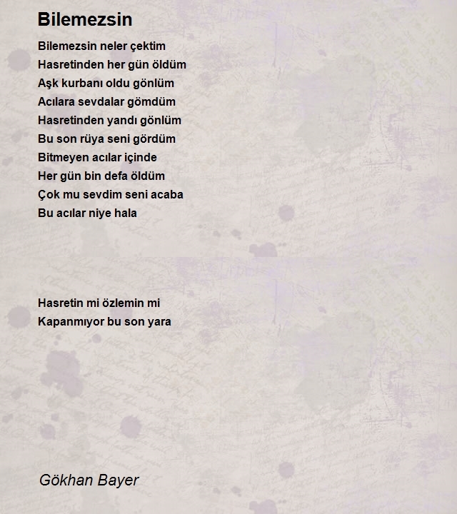 Gökhan Bayer