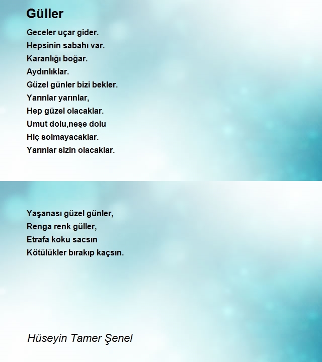 Hüseyin Tamer Şenel