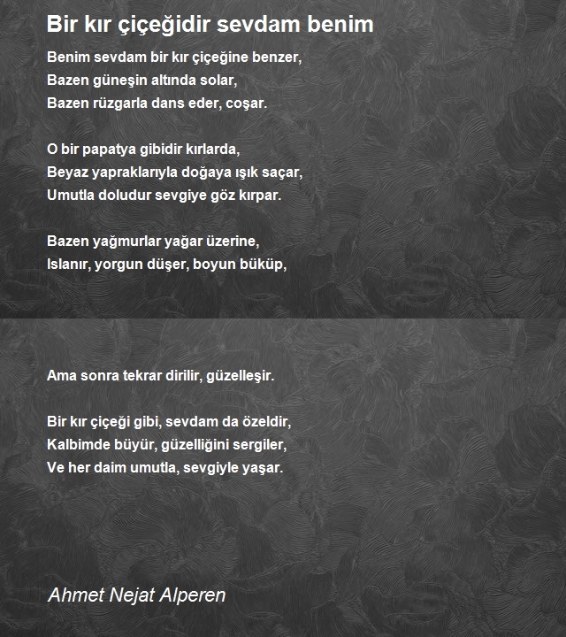 Ahmet Nejat Alperen