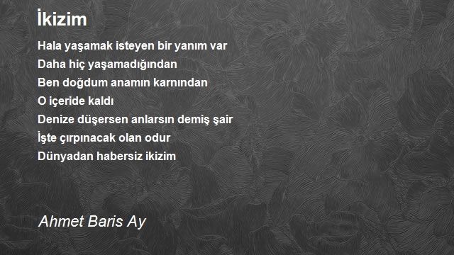 Ahmet Baris Ay