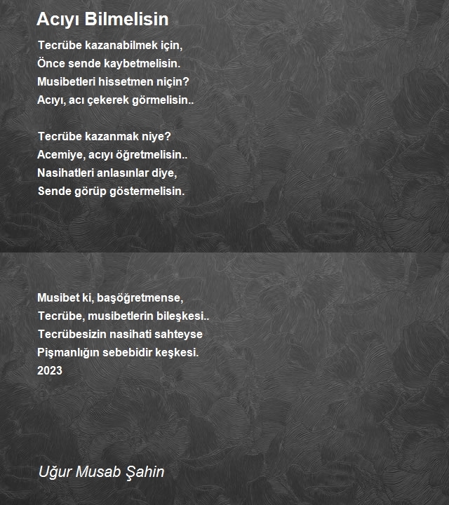 Uğur Musab Şahin