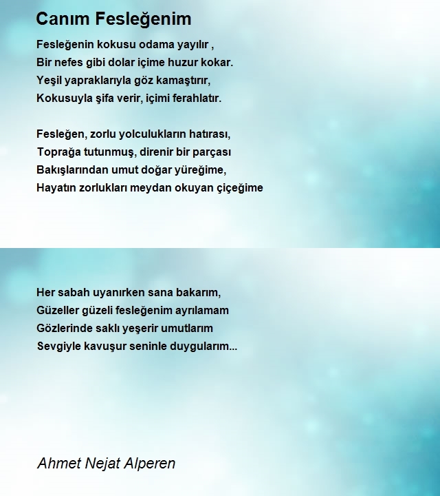 Ahmet Nejat Alperen