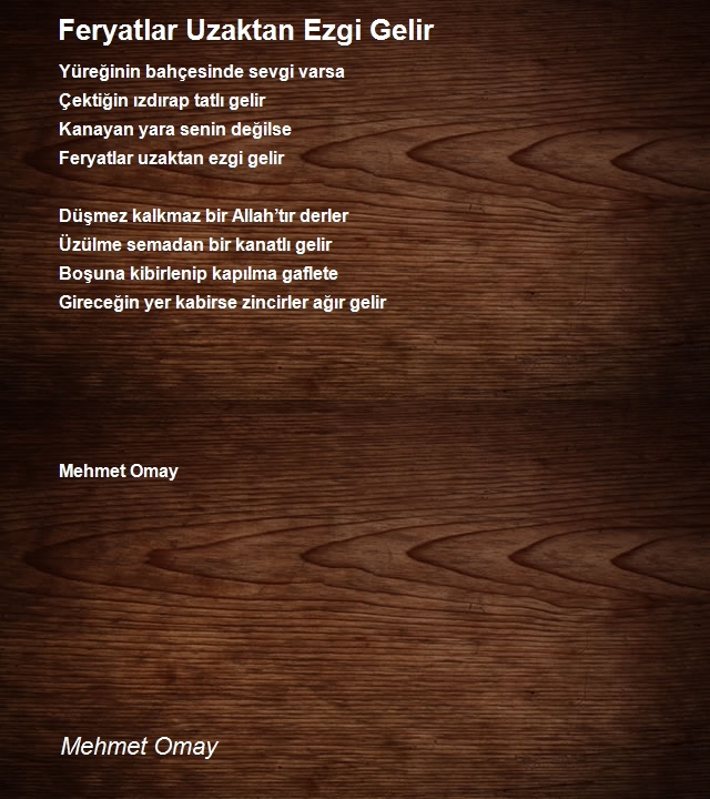 Mehmet Omay