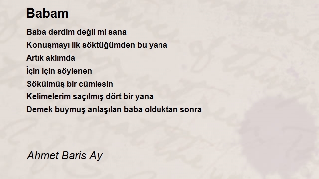 Ahmet Baris Ay