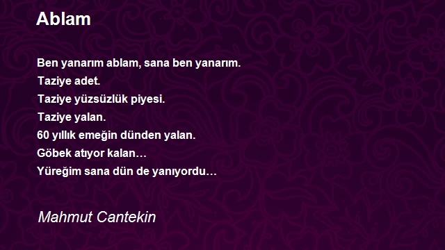 Mahmut Cantekin