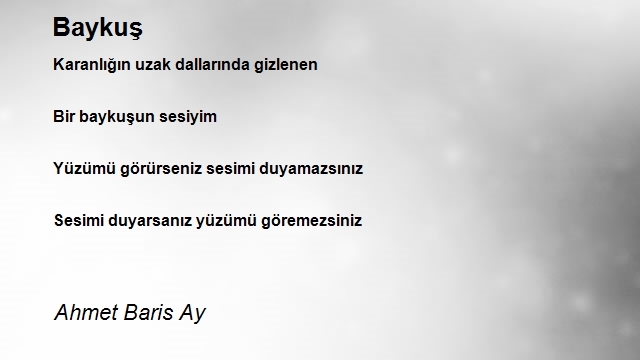 Ahmet Baris Ay