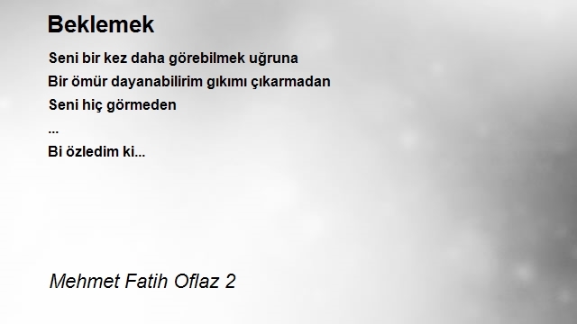 Mehmet Fatih Oflaz 2