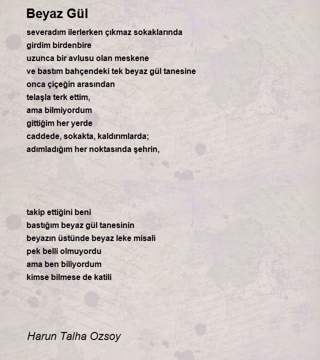 Harun Talha Ozsoy