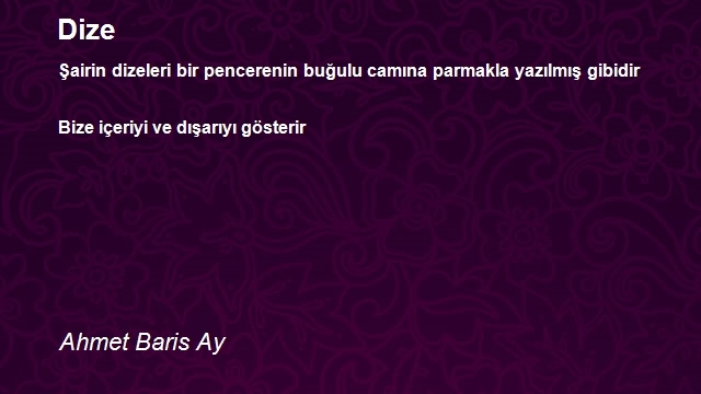 Ahmet Baris Ay