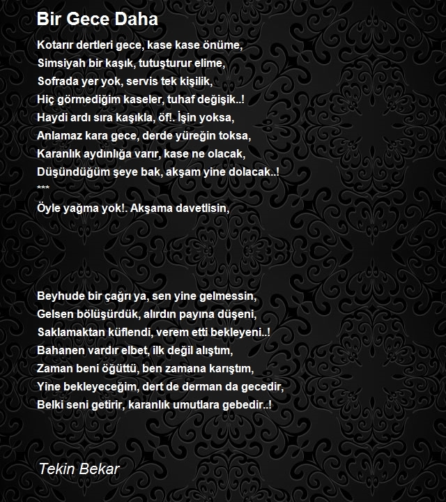 Tekin Bekar