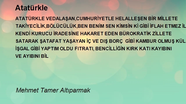 Mehmet Tamer Altıparmak