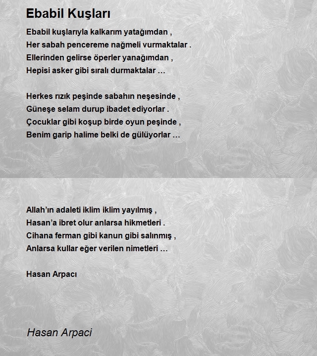 Hasan Arpaci