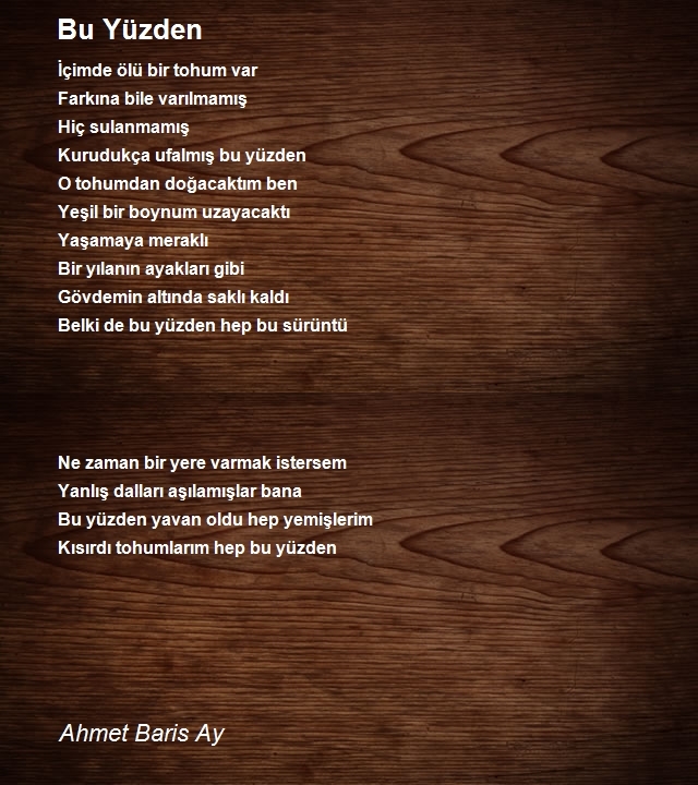 Ahmet Baris Ay