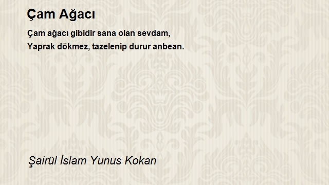 Şairül İslam Yunus Kokan