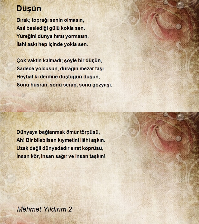 Mehmet Yıldırım 2