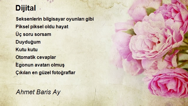 Ahmet Baris Ay