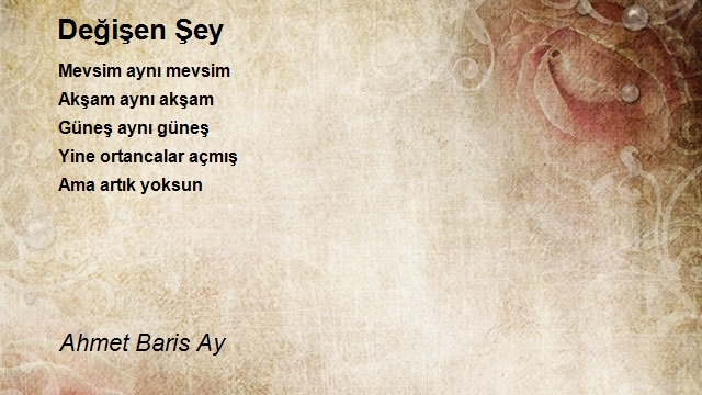 Ahmet Baris Ay