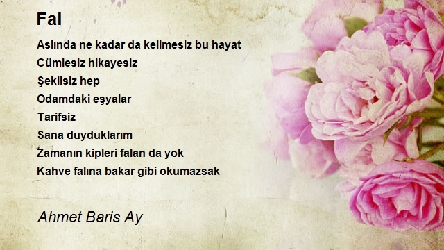 Ahmet Baris Ay