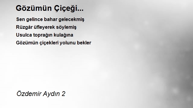 Özdemir Aydın 2