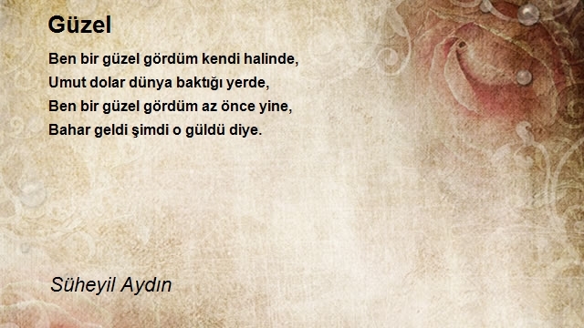 Süheyil Aydın