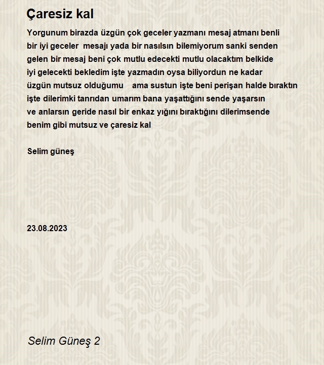 Selim Güneş 2