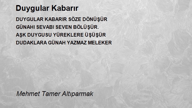 Mehmet Tamer Altıparmak