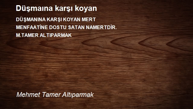 Mehmet Tamer Altıparmak