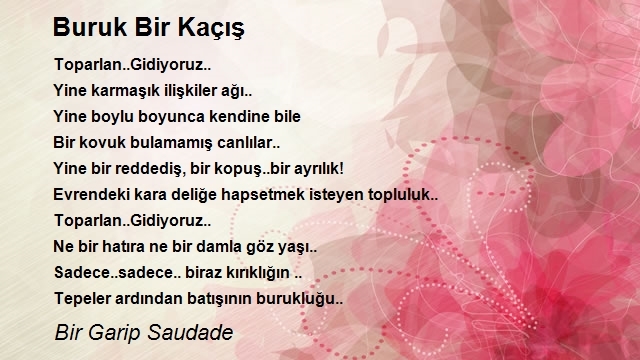 Bir Garip Saudade