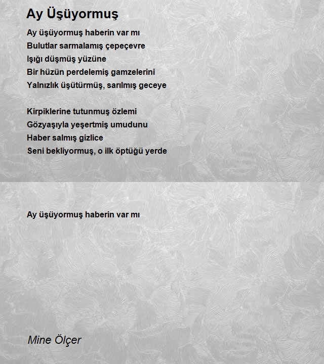 Mine Dönmez Ölçer