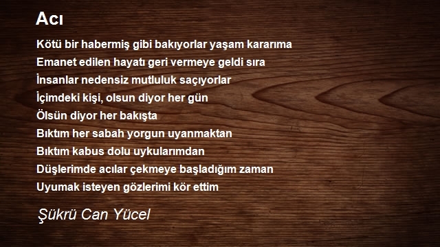 Şükrü Can Yücel