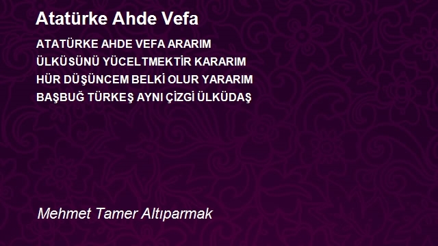 Mehmet Tamer Altıparmak