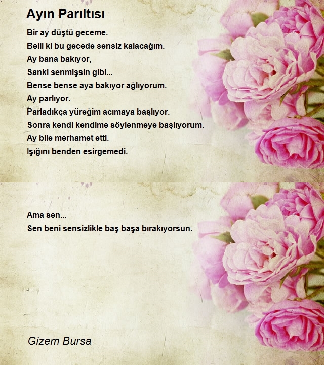 Gizem Bursa