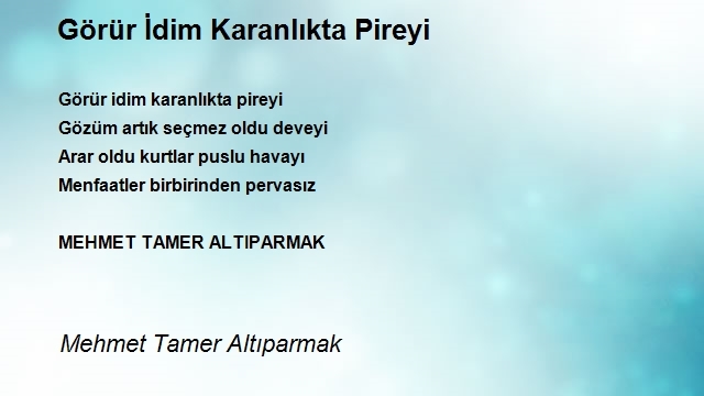 Mehmet Tamer Altıparmak