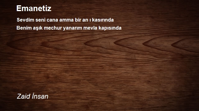 Zaid İnsan