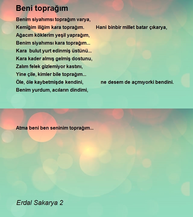 Erdal Sakarya 2