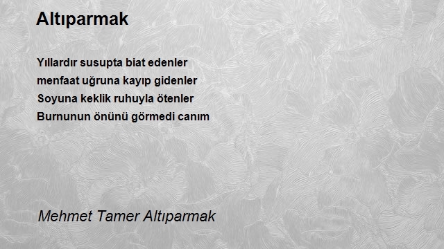 Mehmet Tamer Altıparmak