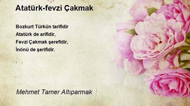 Mehmet Tamer Altıparmak