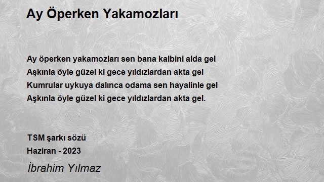 İbrahim Yılmaz