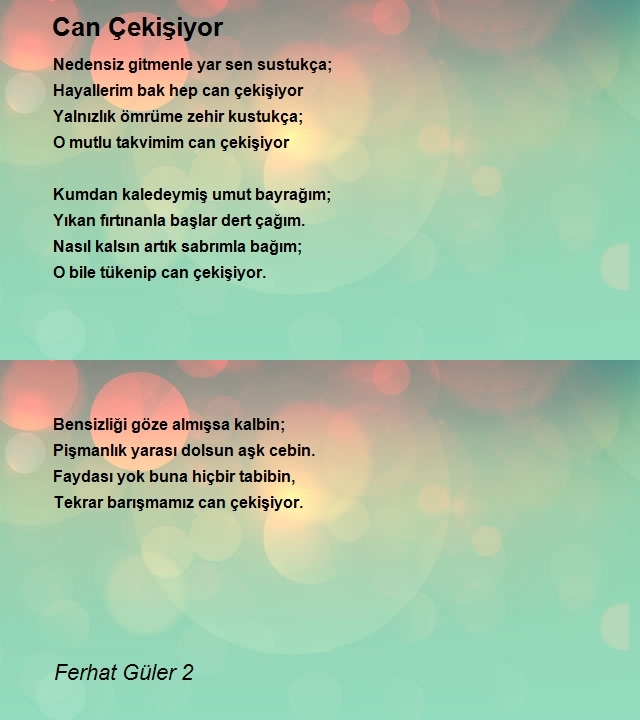 Ferhat Güler 2