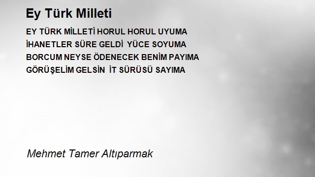 Mehmet Tamer Altıparmak