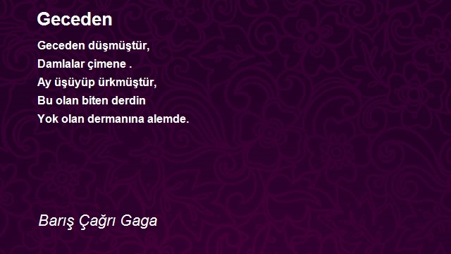 Barış Çağrı Gaga