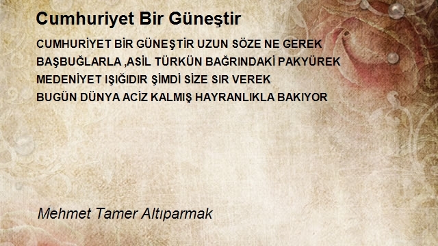 Mehmet Tamer Altıparmak