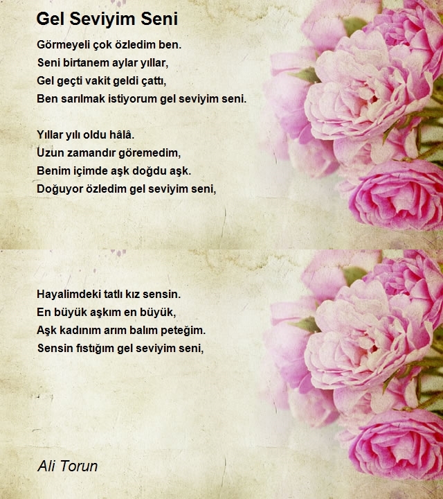 Ali Torun