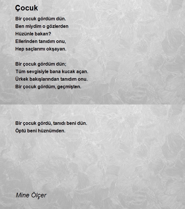 Mine Dönmez Ölçer