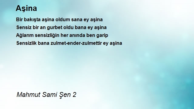 Mahmut Sami Şen 2