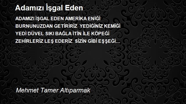 Mehmet Tamer Altıparmak