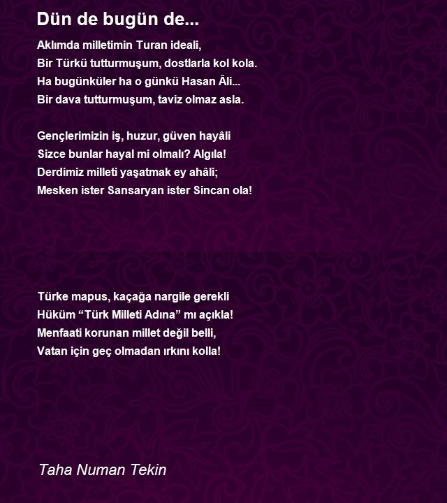 Taha Numan Tekin