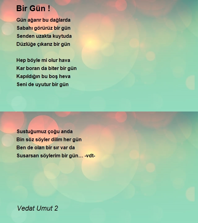 Vedat Umut 2